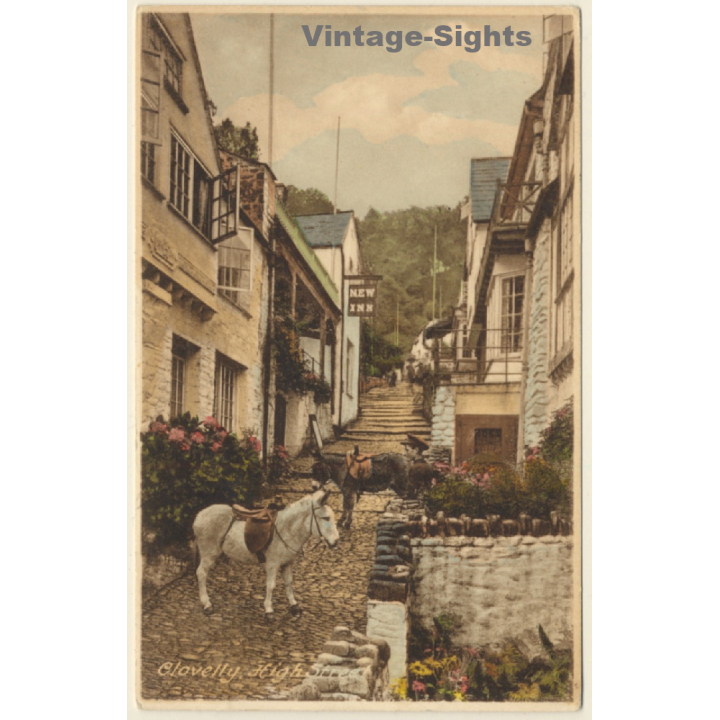Clovelly / UK: Donkeys in High Street / Esel (Vintage PC 1931)