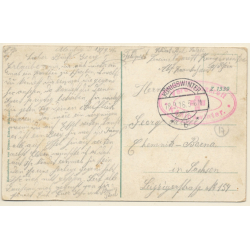 Königswinter / Germany: 2 Donkeys - Vereinslazarett (Vintage PC 1916)
