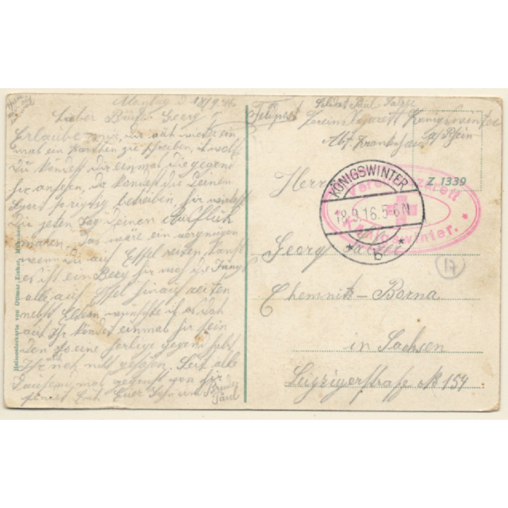 Königswinter / Germany: 2 Donkeys - Vereinslazarett (Vintage PC 1916)