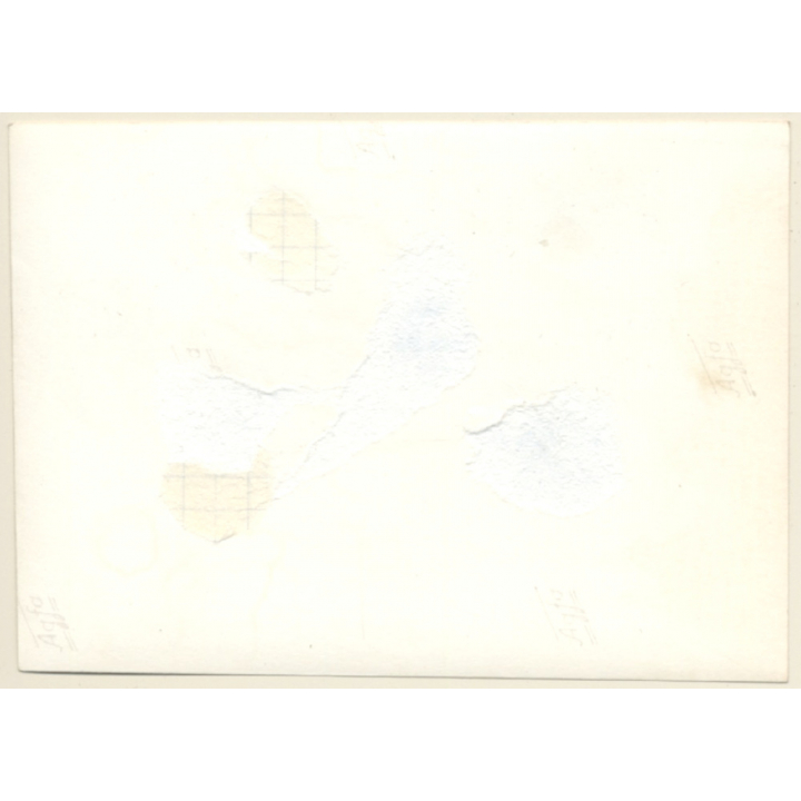 N°14 Lotus Elan Cabrio at French Rallye 1964 or 1965 (Vintage Photo)