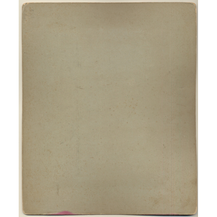 Bruxelles: La Cathédrale Eglise Sainte-Gudule (Vintage Albumen Print ~1880s/1890s)