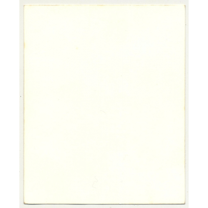 Looks Cloud / F.A. Rinheart (Vintage Collectors' Photo: American Indians)