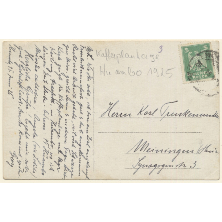 Huambo / Orange Free State (South Africa): Prefect Keiling On Coffee Plantation (Vintage RPPC 1925)