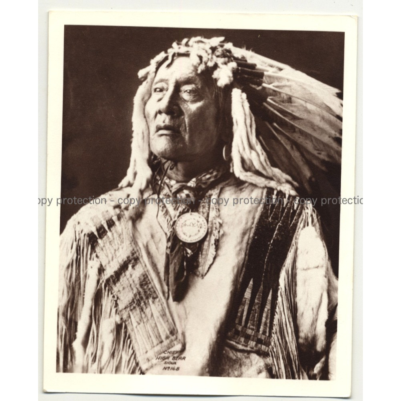 Chief High Bear - Sioux / F.A. Rinheart (Vintage Collectors' Photo: American Indians)