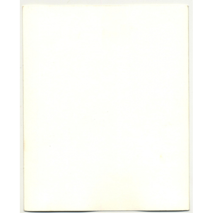 Chief High Bear - Sioux / F.A. Rinheart (Vintage Collectors' Photo: American Indians)