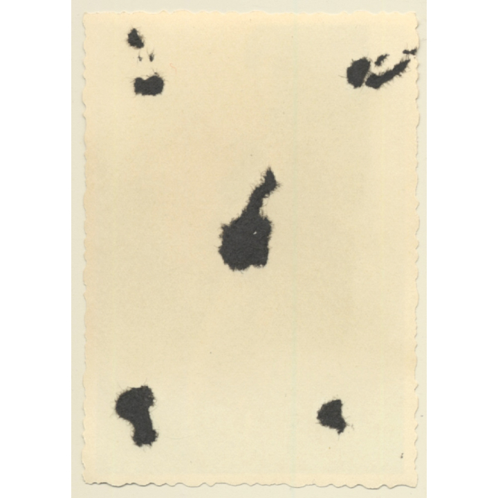 Erotic Study: Pensive Brunette Nude Leaning Against Tree (Vintage 2nd Gen. Photo ~1950s/1960s)