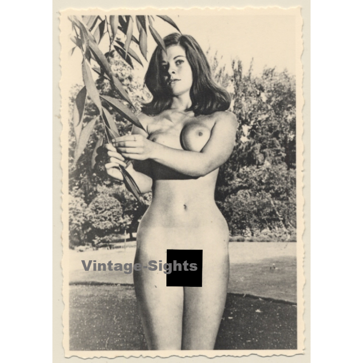 Erotic Study: Pretty Brunette Nude Holding On To Plant (Vintage 2nd Gen. Photo ~1960s)