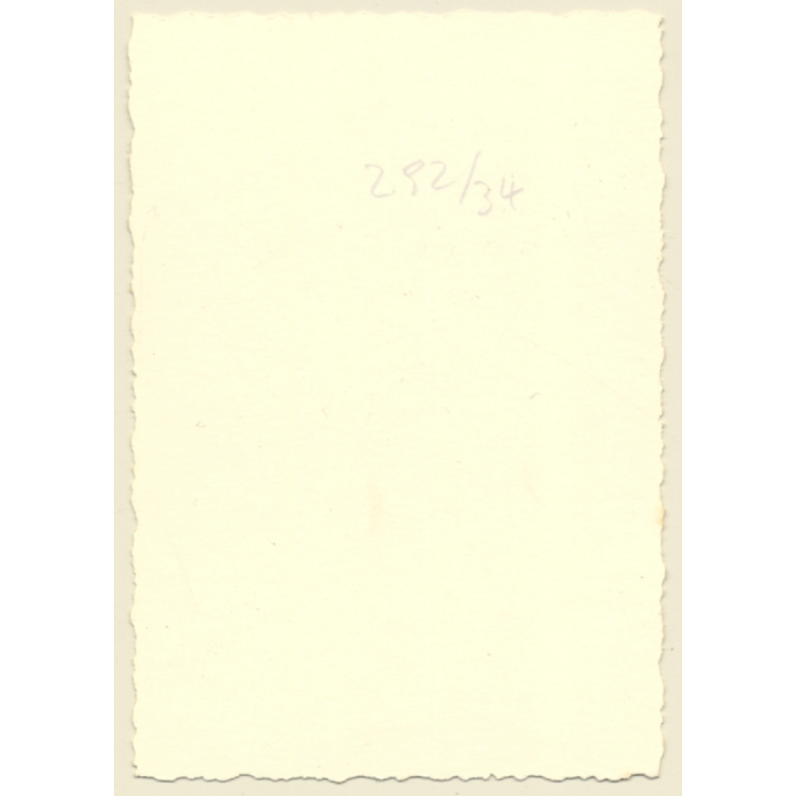 Erotic Study: Pretty Brunette Nude Holding On To Plant (Vintage 2nd Gen. Photo ~1960s)