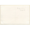 Reitz / Orange Free State (South Africa): Inauguration Of The New Church (Vintage RPPC 1954)