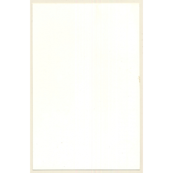 Erotic Study: Slim Natural Nuden Stretching Out In Forest (Vintage Photo GDR ~1970s/1980s)