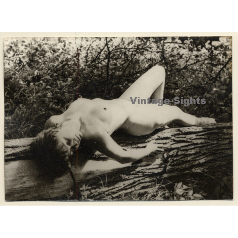 Erotic Study: Natural Nude On Felled Tree (Vintage Photo GDR ~1970s/1980s)