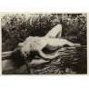 Erotic Study: Natural Nude On Felled Tree (Vintage Photo GDR ~1970s/1980s)