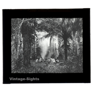 Bolivia: Rio Piray (Pirai) - Amazonas - Rain Forest (Vintage Glass Plate ~1920s/1930s)