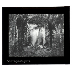 Bolivia: Rio Piray (Pirai) - Amazonas - Rain Forest (Vintage Glass Plate ~1920s/1930s)