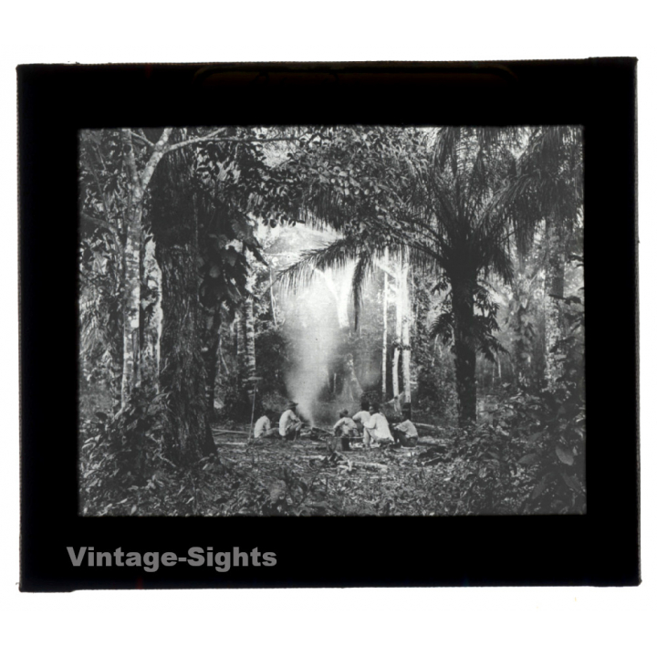 Bolivia: Rio Piray (Pirai) - Amazonas - Rain Forest (Vintage Glass Plate ~1920s/1930s)