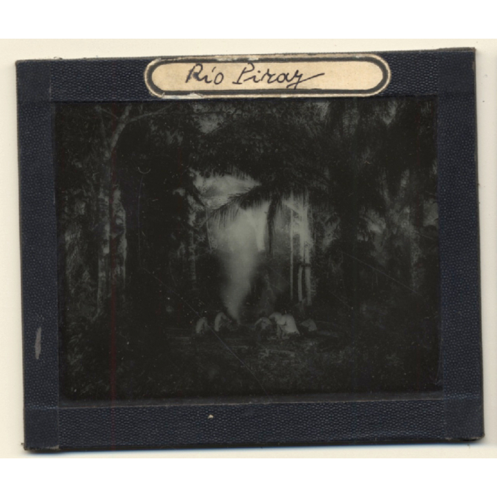 Bolivia: Rio Piray (Pirai) - Amazonas - Rain Forest (Vintage Glass Plate ~1920s/1930s)