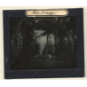 Bolivia: Rio Piray (Pirai) - Amazonas - Rain Forest (Vintage Glass Plate ~1920s/1930s)