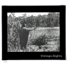 Bolivia: Indigenous Chimane With Bamboo Bow & Arrow / Rio Beni (Vintage Glass Plate ~1920s/1930s)