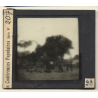 China: 8 Men Carrying Palanquin / Sedan Chair (Vintage Glass Plate ~1900s/1910s)