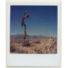 Photo Art: Joshua Tree (Vintage Polaroid SX-70 1980s)