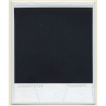 Photo Art: Joshua Tree (Vintage Polaroid SX-70 1980s)