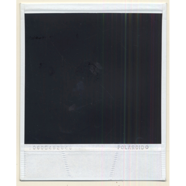 Photo Art: Lonely Trees In The Dusk (Vintage Polaroid SX-70 1980s)