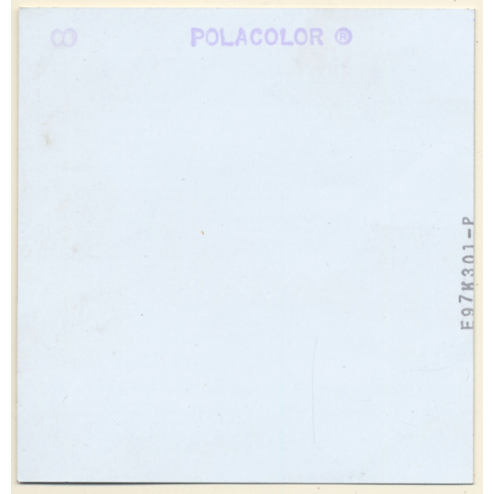 Natural Brunette Nude Female (Vintage Polaroid Test Shot WOLFGANG KLEIN 1980s)