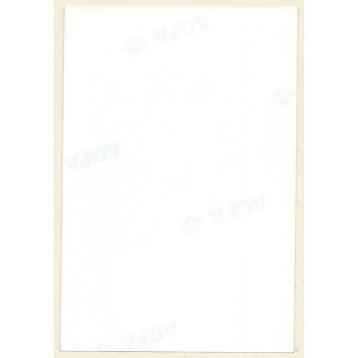 Erotic Study: Slim Darkhaired Nude On The Telephone (Vintage Photo ~1990s)