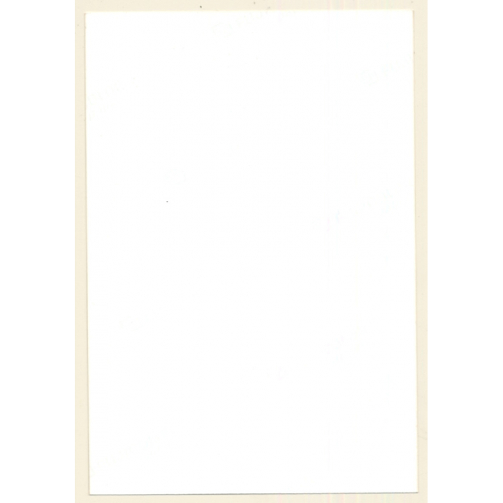 Erotic Study: Busty Dressed Female Flashing Boobs (Vintage Photo ~1990s)