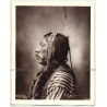 Sherman Niles - Tonkawa / F.A. Rinheart (Vintage Collectors' Photo: American Indians)
