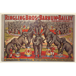 Ringling Bros And Barnum & Bailey Circus / Elephants  (Vintage PC)