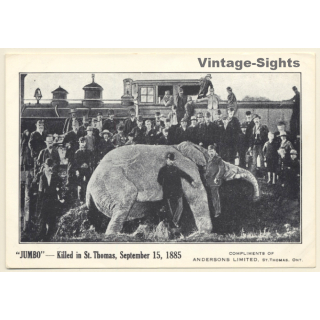 Barnum Circus: Jumbo - Killed in St.Thomas 1885 / Elephant (Vintage PC)