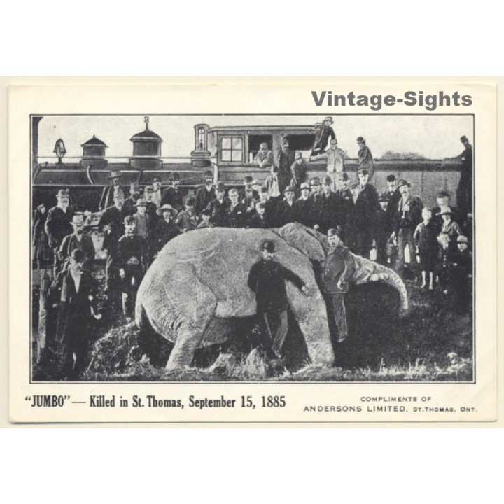 Barnum Circus: Jumbo - Killed in St.Thomas 1885 / Elephant (Vintage PC)