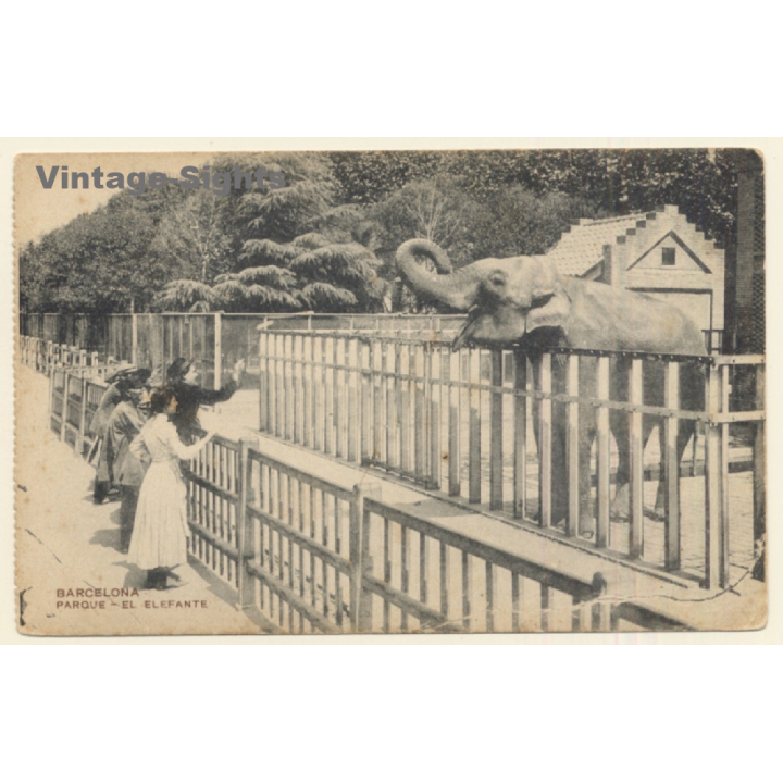 Barcelona / Spain: Parque - El Elefante / Elephant (Vintage PC 1917)