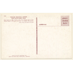 Portland / USA: Packy & Mother Belle / Elephant - Zoo (Vintage PC)