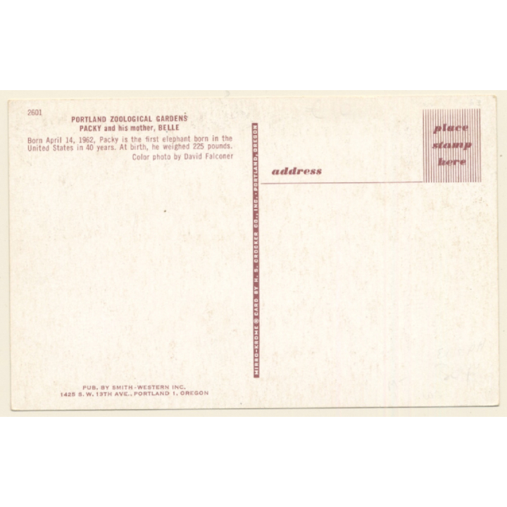 Portland / USA: Packy & Mother Belle / Elephant - Zoo (Vintage PC)