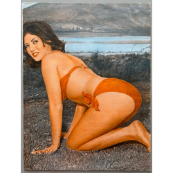 Folies de Paris et de Hollywood N°322 (Vintage Erotic Magazine 1960s)