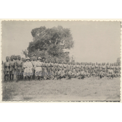 Congo Belge: 2 Colonial Masters & Large Group Of Force Publique Soldiers (Vintage Photo ~ 1930s/1940s)