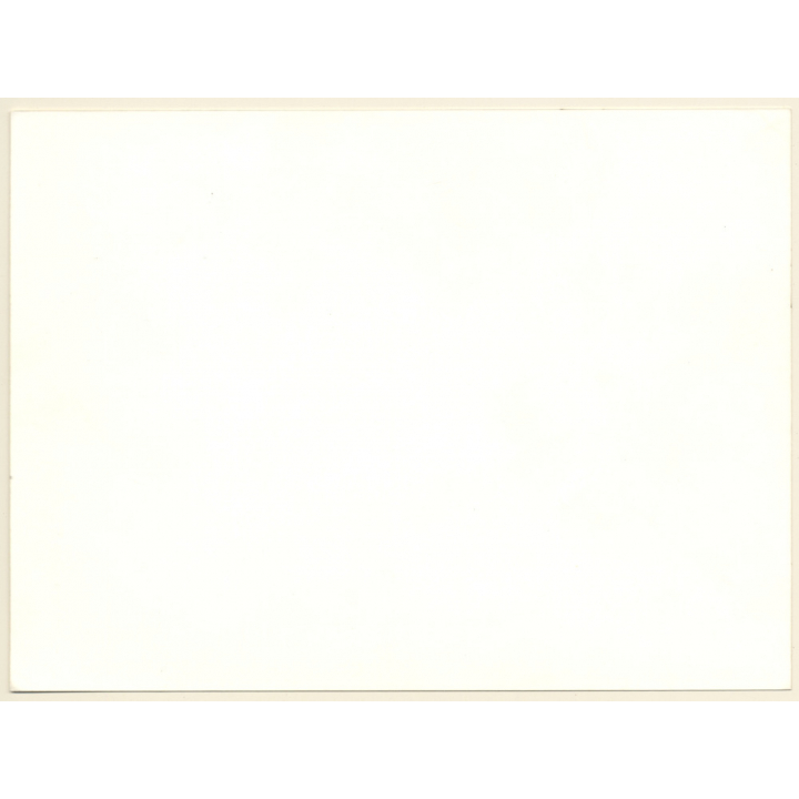 Artistic Erotic Nude Study: Womans' Back / Butt (Vintage Photo France 1980s)