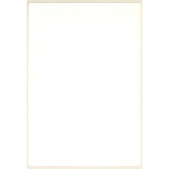 Artistic Erotic Nude Study: Rear View Of Slim Blonde (Vintage Photo France 1980s)