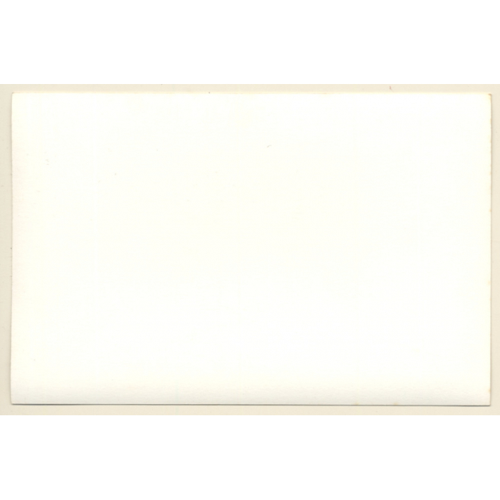 Africa / Congo?: Large Group Of Native Tribe Members / Ceremonial Outift (Vintage Photo ~1940s/1950s)