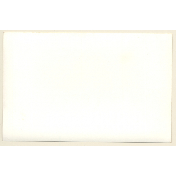 Africa / Congo?: Native Dancers At Tribal Gathering / Ceremonial Outfit*3 (Vintage Photo ~1940s/1950s)