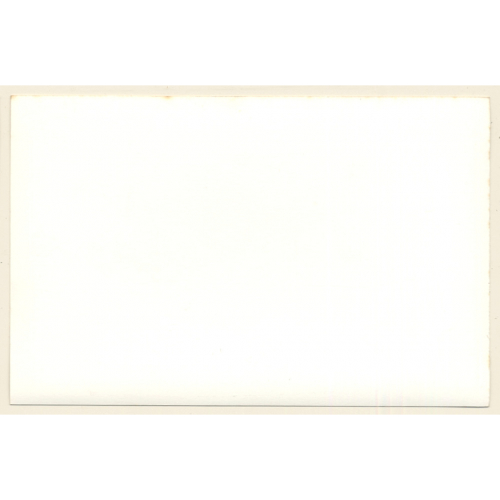 Africa / Congo?: Native Dancers At Tribal Gathering / Ceremonial Outfit*4 (Vintage Photo ~1940s/1950s)