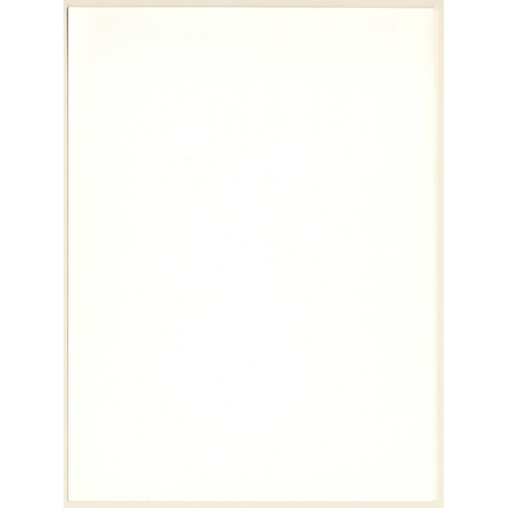 Artistic Erotic Nude Study: Natural Shorthaired Woman*1 (Vintage Photo France 1980s)