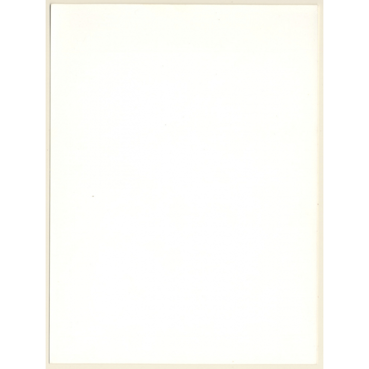 Artistic Erotic Nude Study: Natural Shorthaired Woman*2 (Vintage Photo France 1980s)