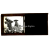 Indochina: Traditional Dragon On Street Parade (Vintage Stereo Glass Plate ~1920s/1930s)