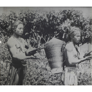 Annam / Vietnam: Native Moï Musicians (Vintage Stereo Glass Plate ~1920s/1930s)