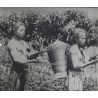 Annam / Vietnam: Native Moï Musicians (Vintage Stereo Glass Plate ~1920s/1930s)
