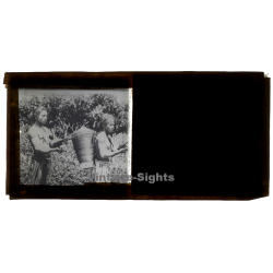 Annam / Vietnam: Native Moï Musicians (Vintage Stereo Glass Plate ~1920s/1930s)