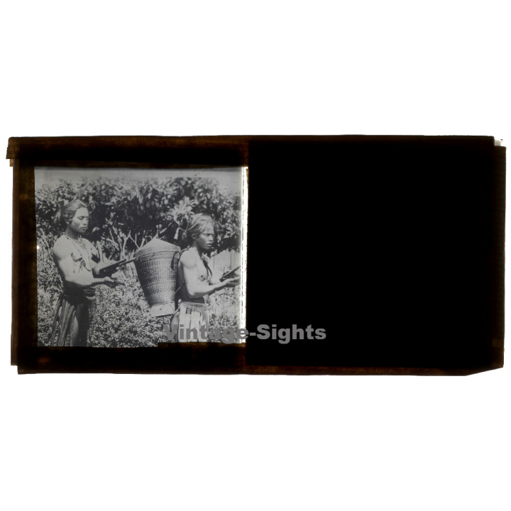Annam / Vietnam: Native Moï Musicians (Vintage Stereo Glass Plate ~1920s/1930s)